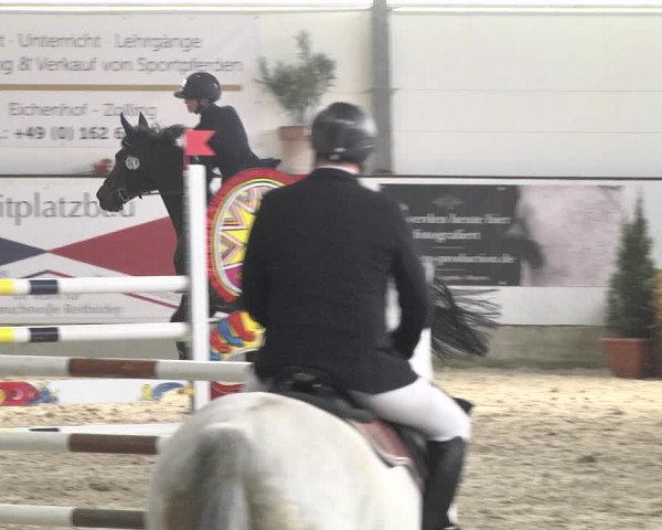 Reitturnier Karlsfeld/Obb. 2020