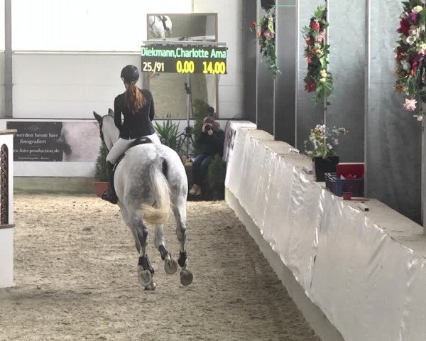 Reitturnier Karlsfeld/Obb. 2020