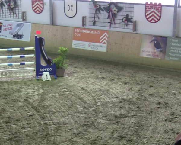 Reitturnier Borgholzhausen-Westbarthausen 2020