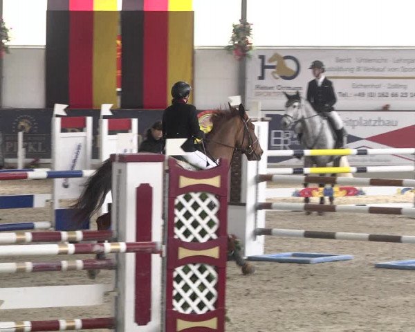 Reitturnier Karlsfeld/Obb. 2020