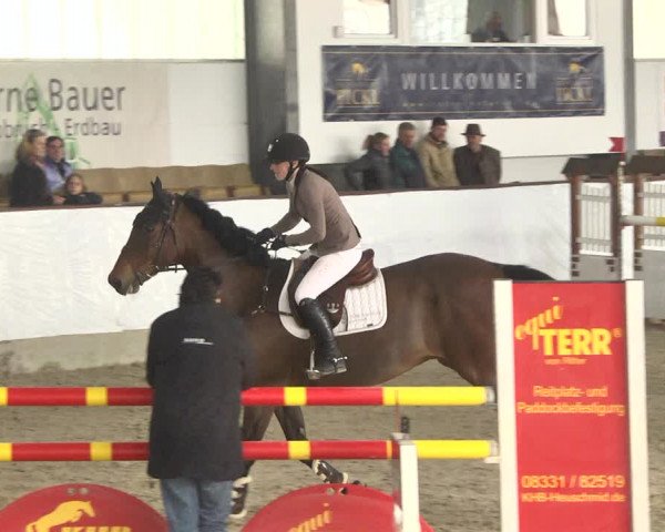 Reitturnier Karlsfeld/Obb. 2020