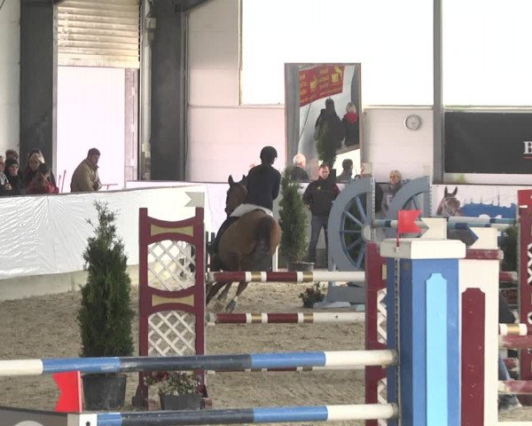 Reitturnier Karlsfeld/Obb. 2020