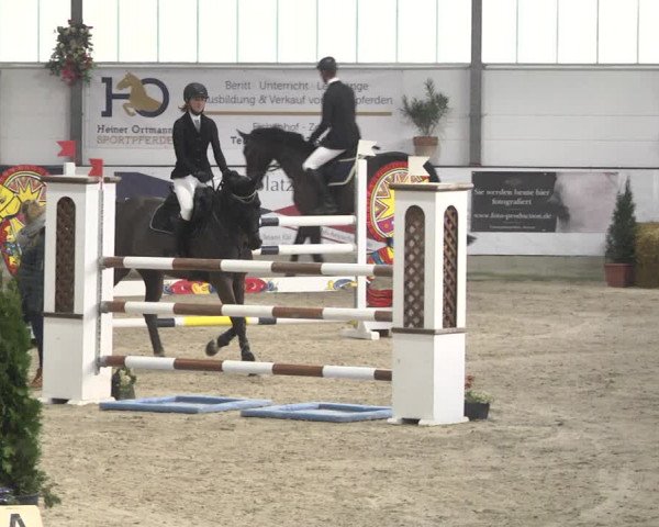 Reitturnier Karlsfeld/Obb. 2020