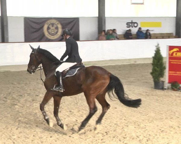 Reitturnier Karlsfeld/Obb. 2020
