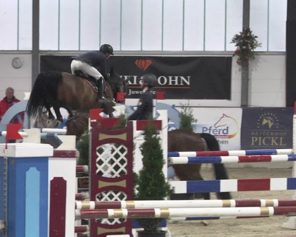 Reitturnier Karlsfeld/Obb. 2020
