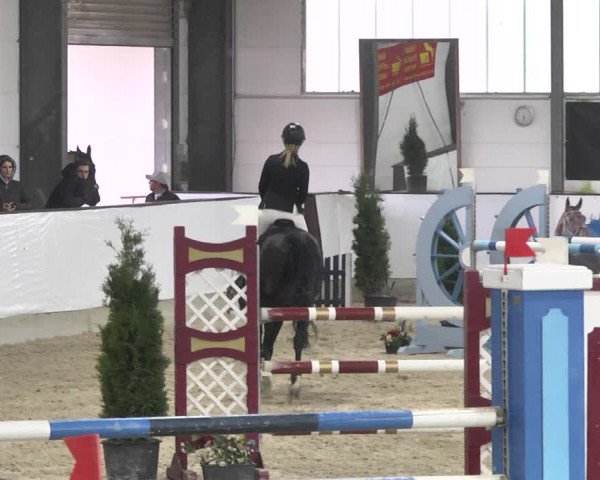 Reitturnier Karlsfeld/Obb. 2020