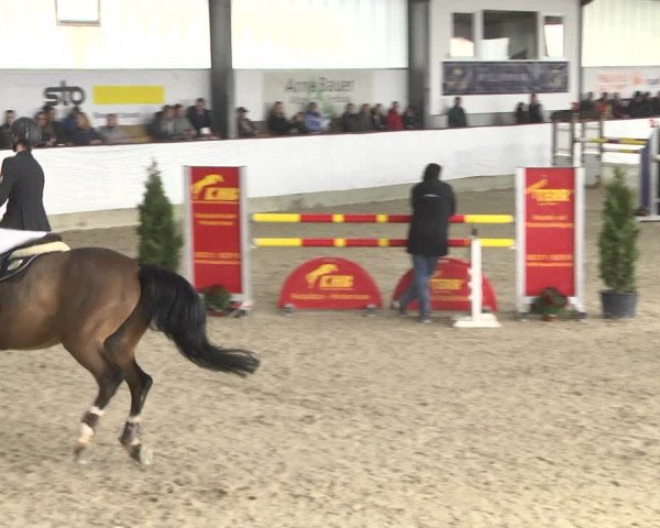 Reitturnier Karlsfeld/Obb. 2020