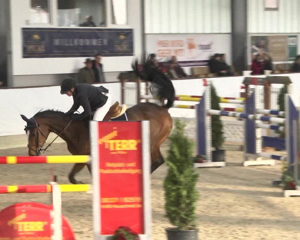Reitturnier Karlsfeld/Obb. 2020
