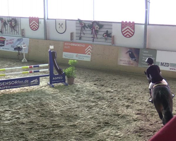 Reitturnier Borgholzhausen-Westbarthausen 2020