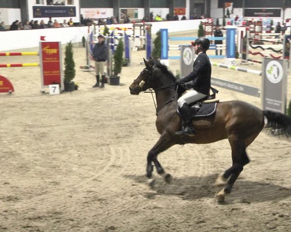 Reitturnier Karlsfeld/Obb. 2020