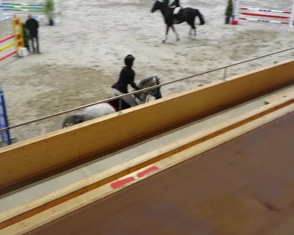 Reitturnier Dielsdorf, Horsepark 2020