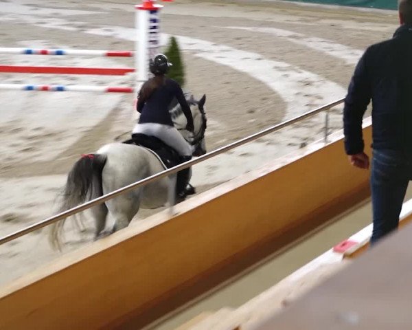 Reitturnier Dielsdorf, Horsepark 2020