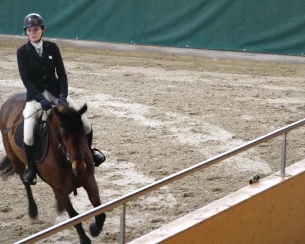 Reitturnier Dielsdorf, Horsepark 2020