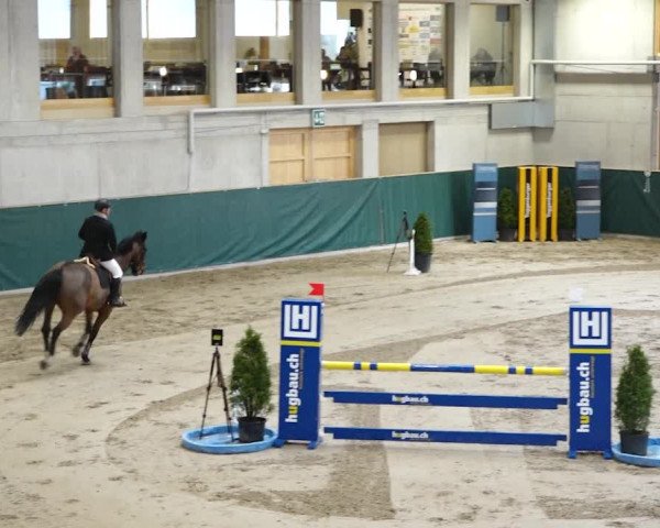 Reitturnier Dielsdorf, Horsepark 2020