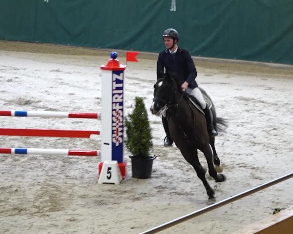 Reitturnier Dielsdorf, Horsepark 2020