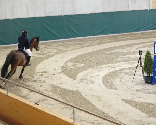 Reitturnier Dielsdorf, Horsepark 2020