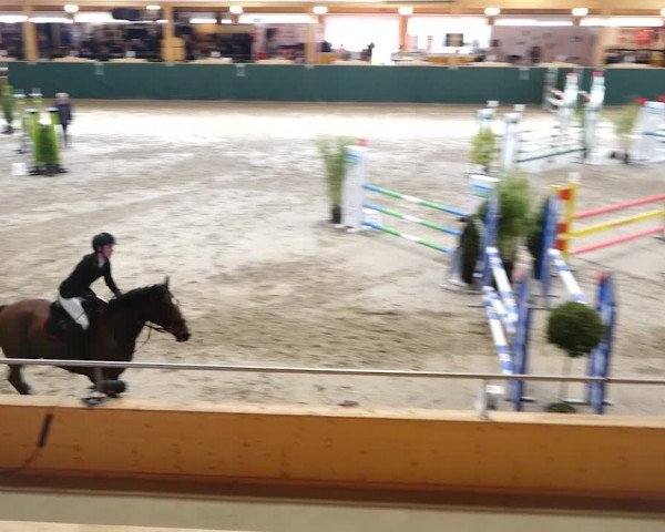 Reitturnier Dielsdorf, Horsepark 2020