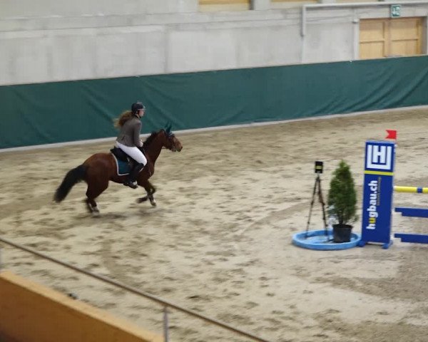 Reitturnier Dielsdorf, Horsepark 2020