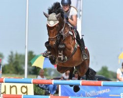 jumper Conrado Bs (Holsteiner, 2005, from Contender)