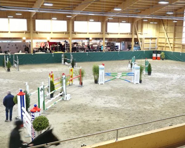 Reitturnier Dielsdorf, Horsepark 2020