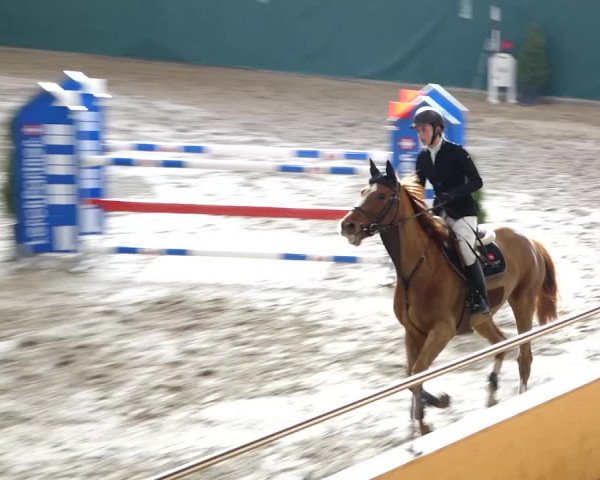 Reitturnier Dielsdorf, Horsepark 2020