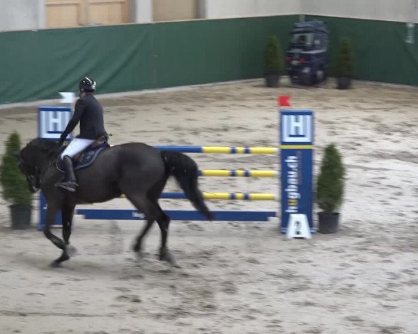 Reitturnier Dielsdorf, Horsepark 2020