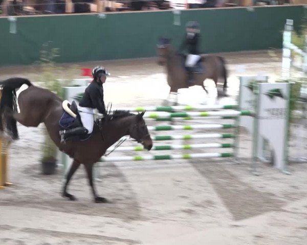 Reitturnier Dielsdorf, Horsepark 2020