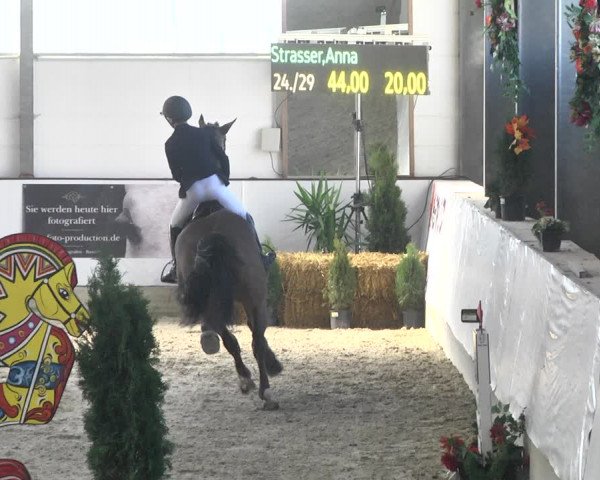 Reitturnier Karlsfeld/Obb. 2020