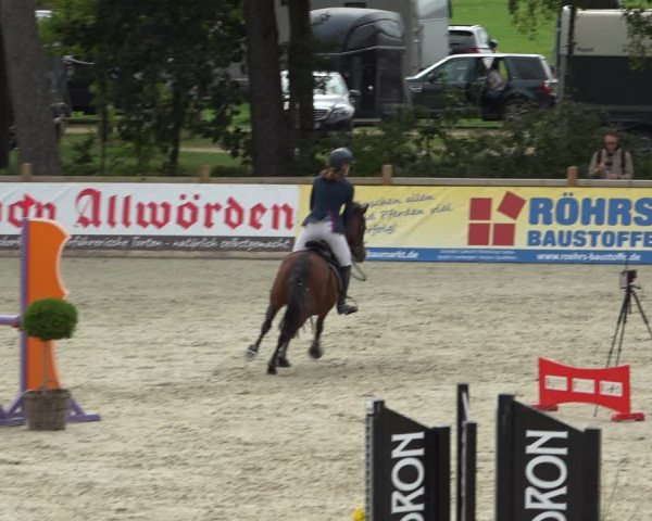 Reitturnier Westergellersen 2021