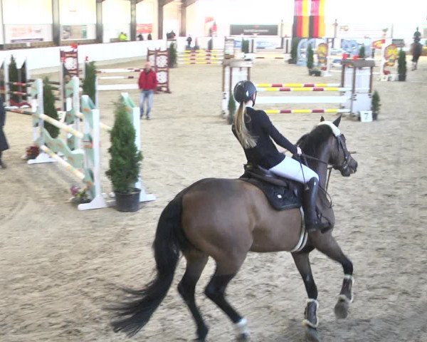 Reitturnier Karlsfeld/Obb. 2020