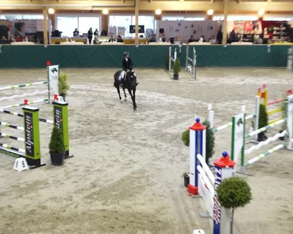 Reitturnier Dielsdorf, Horsepark 2020
