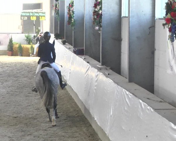 Reitturnier Karlsfeld/Obb. 2020