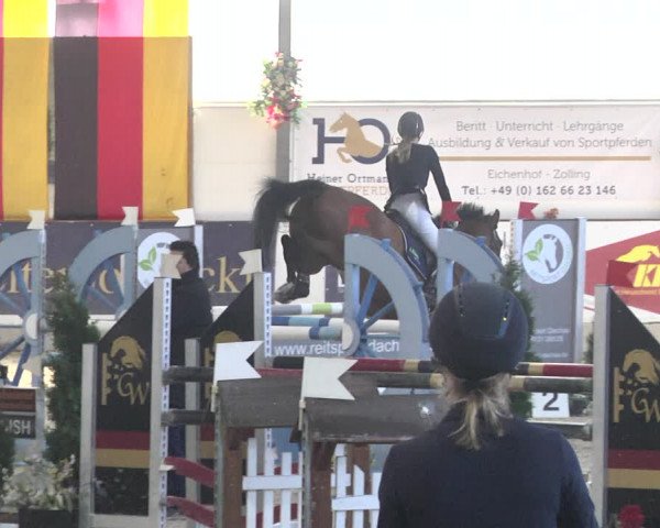 Reitturnier Karlsfeld/Obb. 2020