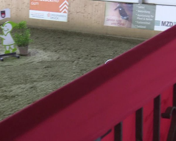 Reitturnier Borgholzhausen-Westbarthausen 2020
