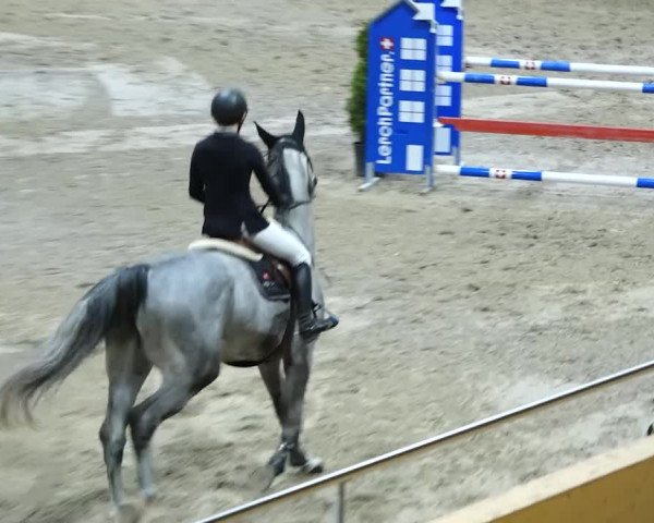 Reitturnier Dielsdorf, Horsepark 2020