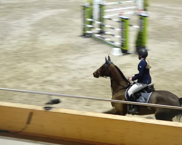 Reitturnier Dielsdorf, Horsepark 2020