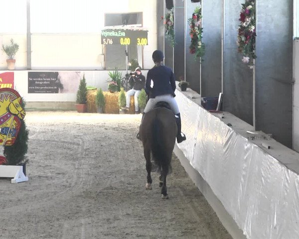 Reitturnier Karlsfeld/Obb. 2020
