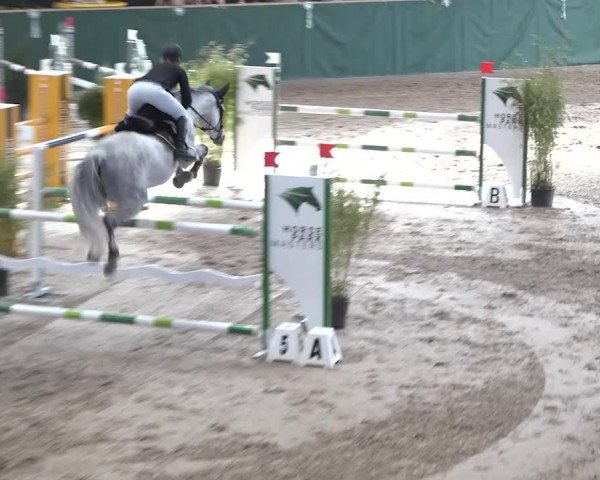 Reitturnier Dielsdorf, Horsepark 2020