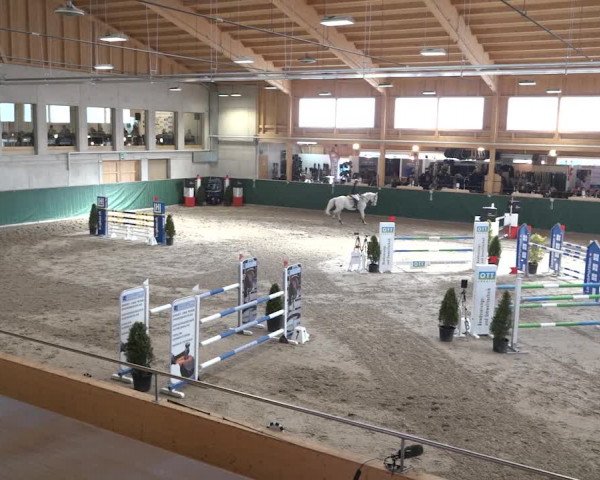 Reitturnier Dielsdorf, Horsepark 2020