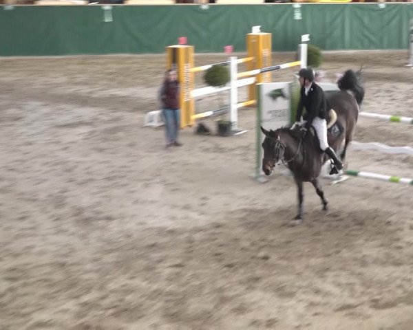 Reitturnier Dielsdorf, Horsepark 2020