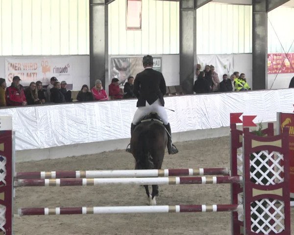 Reitturnier Karlsfeld/Obb. 2020