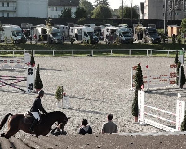Pferdesporttage Bülach 2021