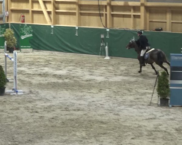 Reitturnier Dielsdorf, Horsepark 2020