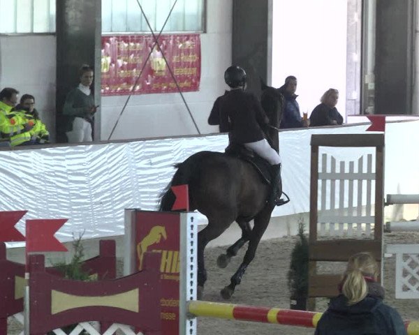 Reitturnier Karlsfeld/Obb. 2020