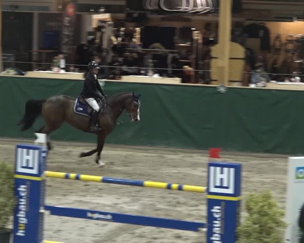 Reitturnier Dielsdorf, Horsepark 2020