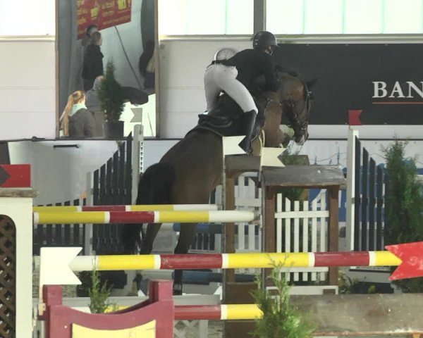 Reitturnier Karlsfeld/Obb. 2020