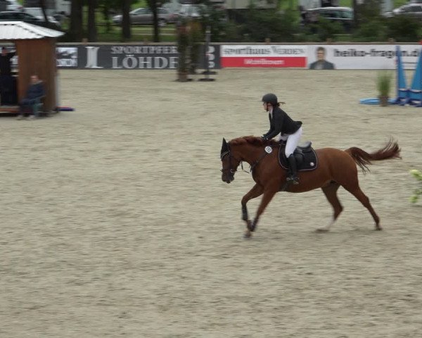 Reitturnier Westergellersen 2021