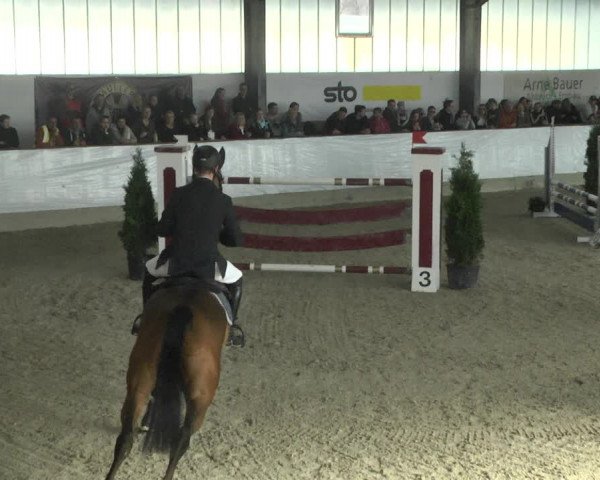 Reitturnier Karlsfeld/Obb. 2020