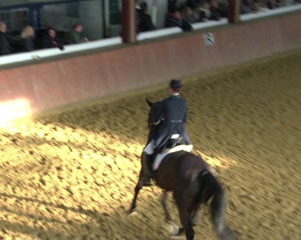 Reitturnier Bad Salzuflen 2020