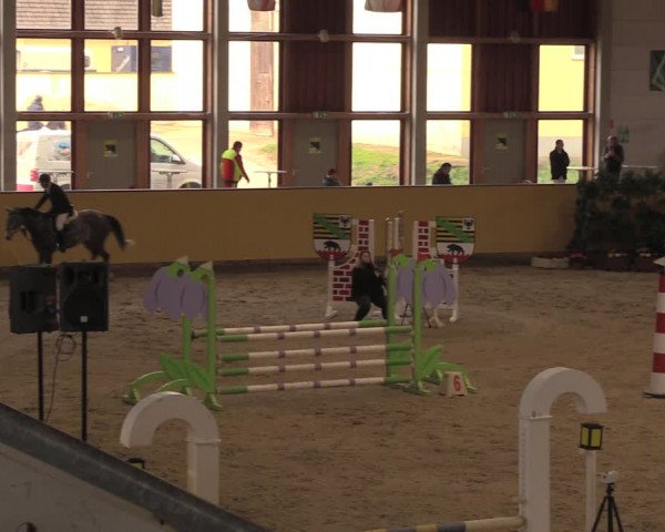 Reitturnier Prussendorf 2020